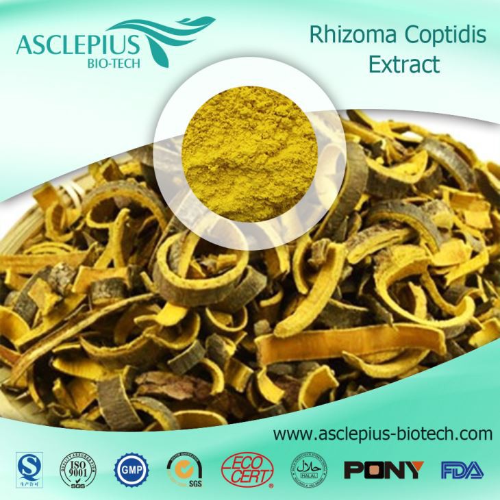 Berberine Hydrochloride ,coptis Root Extract Supplier Wholesale