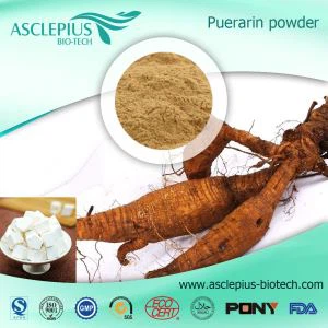 Pembekal Serbuk Ekstrak Pueraria Borong /termasuk Puerarin, Daidzin,daidzein