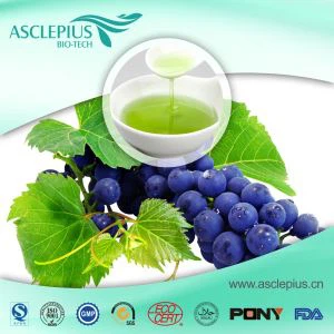 Pembekal Minyak Biji Anggur Borong / BAIK untuk Rambut , Juga Digunakan untuk Memasak