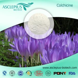 Colchicine ,colchicin Pembekal Borong