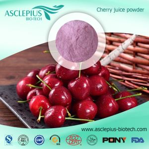 Serbuk Ekstrak Chokeberry/Serbuk Beri Aronia/ Pembekal Tambahan Serbuk Jus Chokeberry
