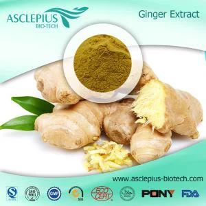 Pembekal Serbuk Ekstrak Halia Bahan Borong/aktif Adalah Gingerol