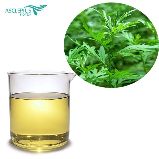 High-quality Artemisia Argyi Oil/artemisia Argyi Essential Oil
